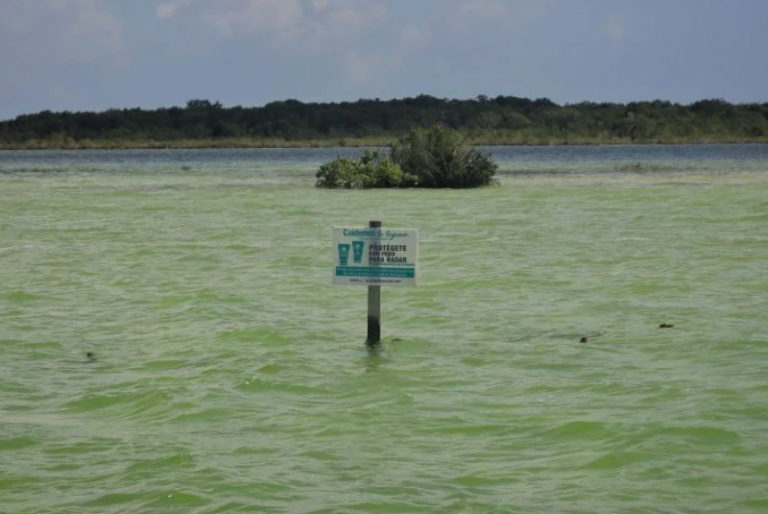 AMLO descarta afectación del Tren Maya en la laguna de Bacalar