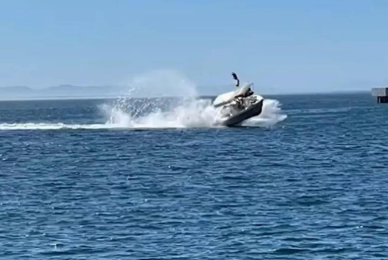 Bote turístico impacta contra ballena en Baja California Sur; hay seis heridos