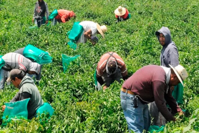 Quintana Roo lidera con mayor crecimiento económico en México