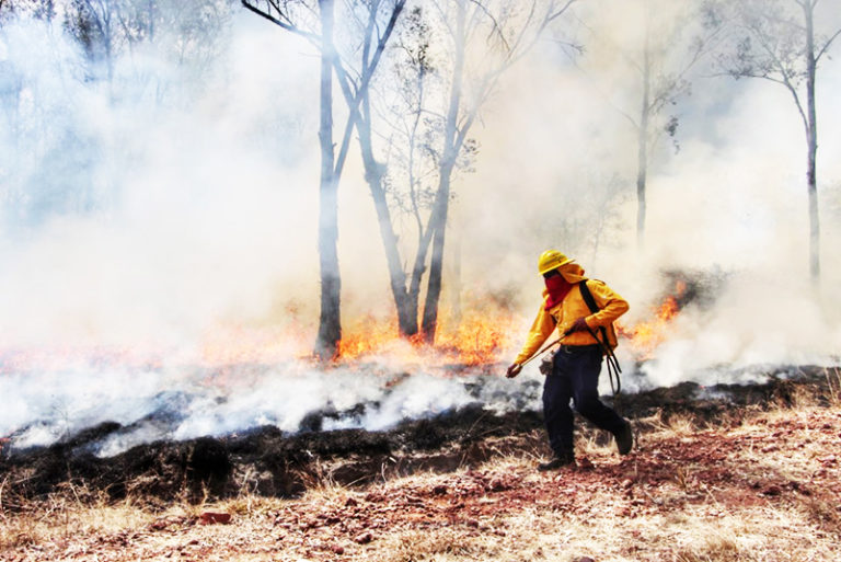 Conafor y Protección Civil controlan tres incendios forestales en Quintana Roo