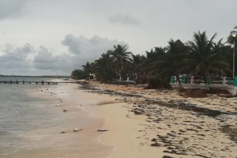 Sector náutico prevé pérdidas en derrama por cielo nublado y lluvias en Cancún