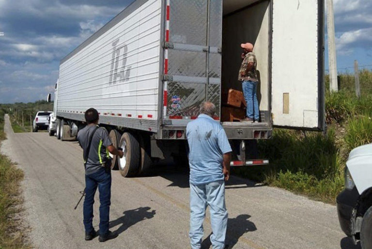 Policía asegura madera ilegal en la región de Candelaria, Campeche