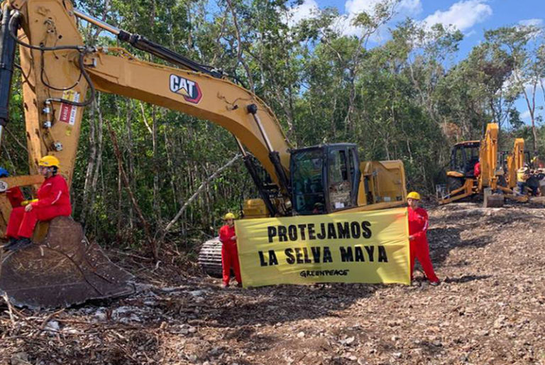 Juez ordena otra suspensión provisional al tramo 5 del Tren Maya