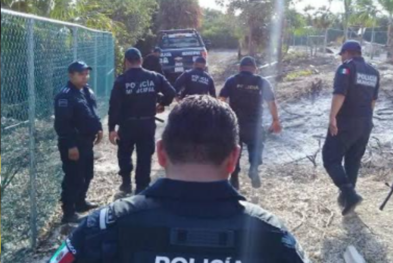 Hombres armados en motos acuáticas llegan a robar a una playa de Isla Blanca, Quintana Roo