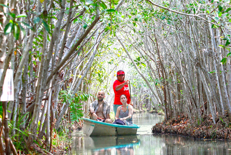 San Crisanto obtiene el primer proyecto certificado de manglar en México