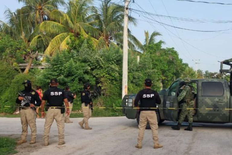 Fuerzas Federales catean tres predios en Tizimín, Yucatán