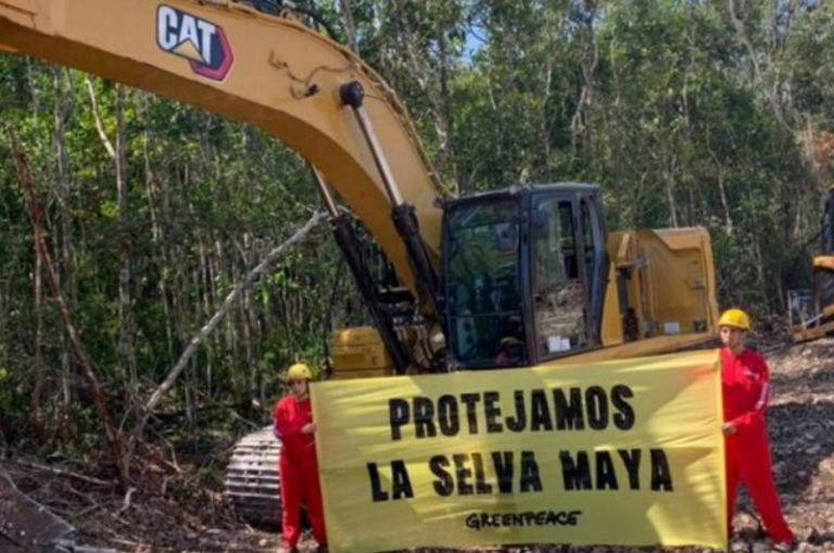 Greenpeace denuncia la reanudación ilegal de obras del Tren Maya