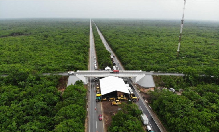 INAI pide transparentar contratos del polémico proyecto de AMLO en el Sureste