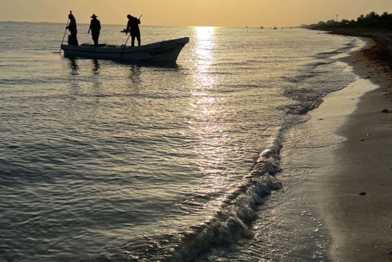 Marea roja se aleja de la costa yucateca