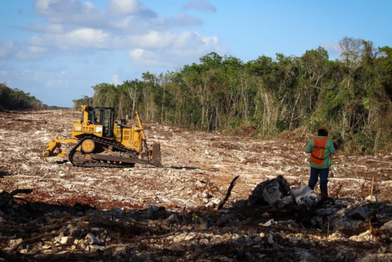 INAI ordena a Semarnat revelar autorización provisional para construcción del Tramo 4 del Tren Maya