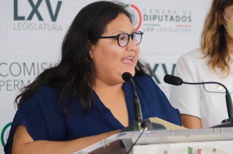 Senadora Citlali Hernández registrada en PNT con dos salarios