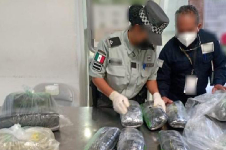 Decomisan 21 paquetes de hoja y harina de coca procedente de Perú en Aeropuerto de Cancún